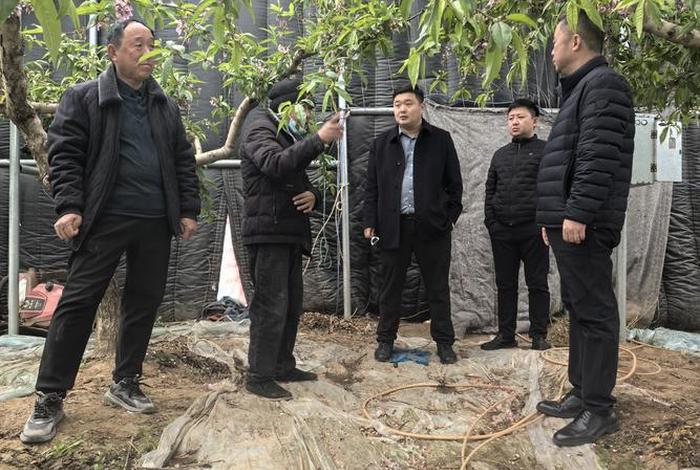 台前打渔陈电商,河南省台前县打渔陈乡派出所电话 台前打渔陈电商,河南省台前县打渔陈乡派出所电话