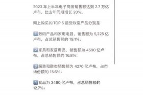 俄罗斯电商网站，俄罗斯电商网站成交额