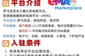 跨境电商emag招商（2021年跨境电商平台招商）