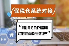 海南省跨境电商公共服务平台、海南省跨境电商公共服务平台提供的SAAS服务