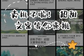 电商卖桃子怎么定价；电商卖桃子怎么定价的