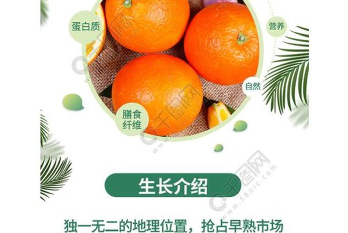 生鲜水果电商平台（生鲜水果代销平台有哪些）