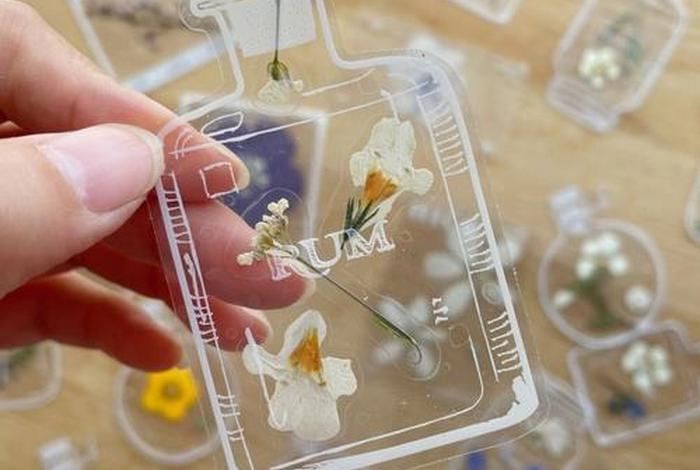 亚马逊电商怎么做干花标本 亚马逊标签怎么做