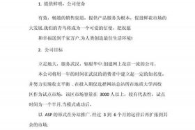 电商创业项目计划书（电商创业项目计划书模板）