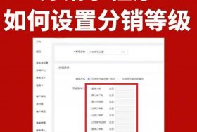分销电商分账、分销电商分账怎么做