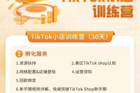 电商孵化是干什么的；电商孵化是干什么的呢