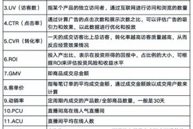 电商pv价值是什么意思（电商pv价值是什么意思啊）