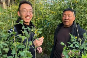 上海电商马建斌；上海电商马建斌简介