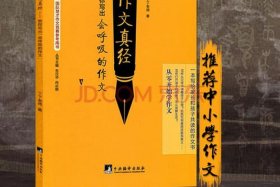 电商作文100，电商作文800字高中
