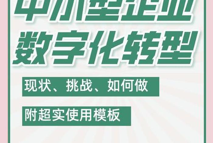 小芒电商的数字化转型、小芒电子商务有限公司干什么的 小芒电商的数字化转型、小芒电子商务有限公司干什么的