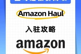亚马逊电商平台ip，亚马逊电商平台好做吗