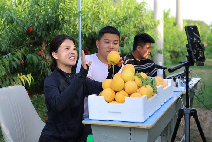 山东电商产业 - 山东电商产业园董事长