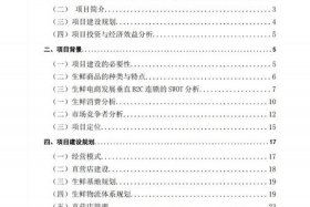 代写生鲜电商商业计划书 - 生鲜电商项目商业计划书