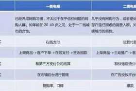 一类电商和二类电商哪种发展更好；一类电商和二类电商哪种发展更好些