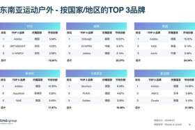 东南亚跨境电商代运营，东南亚跨境电商代运营怎么样