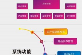 农村电商平台排名；农村电商平台排名榜