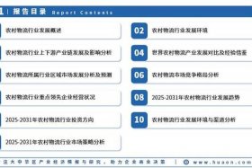 电商巨头为什么纷纷布局农村电商；电商巨头为什么纷纷布局农村电商发展