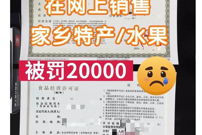 家乡特产电商营销方案(家乡特产电商营销方案范文) 家乡特产电商营销方案(家乡特产电商营销方案范文)