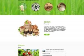 电商农产品服务 农产品电商服务中心简介