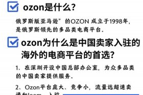 ozon平台怎么样（俄罗斯ozon平台怎么样）