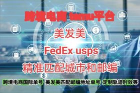 temo跨境电商美国站 跨境电商 美国站