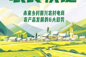 农村电商发展前景；农村电商发展前景表现在