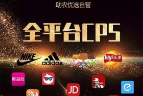 内容电商运营(山东联盟)网课答案 内容电商运营任务书答案