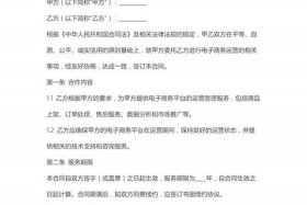 电商平台代运营合同 - 电商平台代运营合同模板