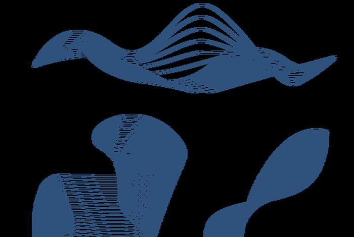 电商设计感线条素材 - 电商设计灵感素材库 电商设计感线条素材 - 电商设计灵感素材库