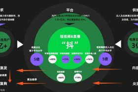 电商类短视频、电商类短视频主要分为哪两类