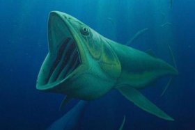 杭州巨鱼电商可靠吗，杭州巨鱼电商可靠吗知乎