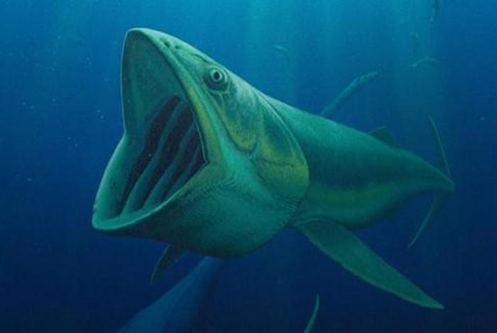 杭州巨鱼电商可靠吗,杭州巨鱼电商可靠吗知乎 杭州巨鱼电商可靠吗,杭州巨鱼电商可靠吗知乎