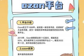 ozon电商平台好做吗 ozon电商平台下载