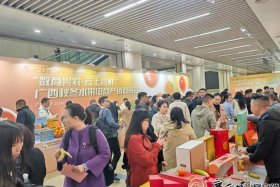 南宁电商协会、南宁电商协会会长