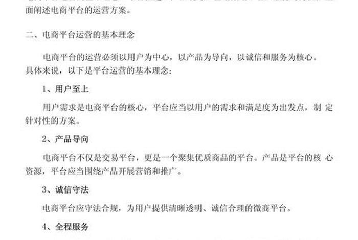 电商村运营方案（电商村运营方案范文）