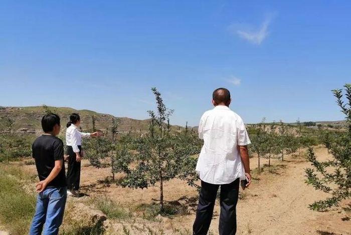 扶贫电商基地培训 - 扶贫电商基地培训心得体会 扶贫电商基地培训 - 扶贫电商基地培训心得体会