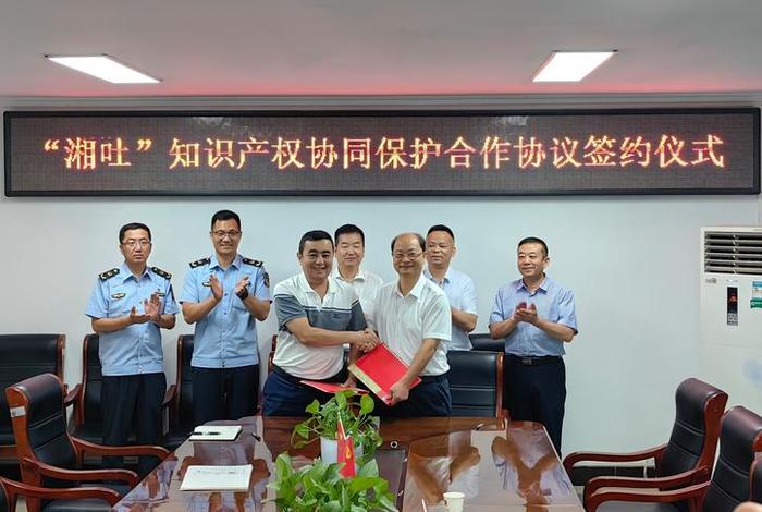 电商知识产权保护平台、电商平台知识产权保护问题研究