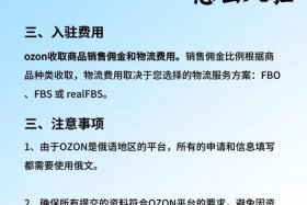 俄罗斯跨境电商平台ozon前景，俄罗斯电商平台ozon入驻条件