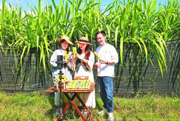 浙江电商村；浙江农村电商平台