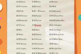 电商名称英文简称（电商名称英文简称怎么写）