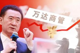 电商市场份额（电商市场份额占比马云王健林）