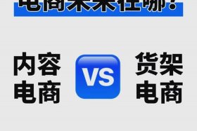 一类电商和二类电商的区别是什么（一类电商和二类电商的区别是什么呢）