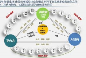 金融电商运营，金融行业电商运营