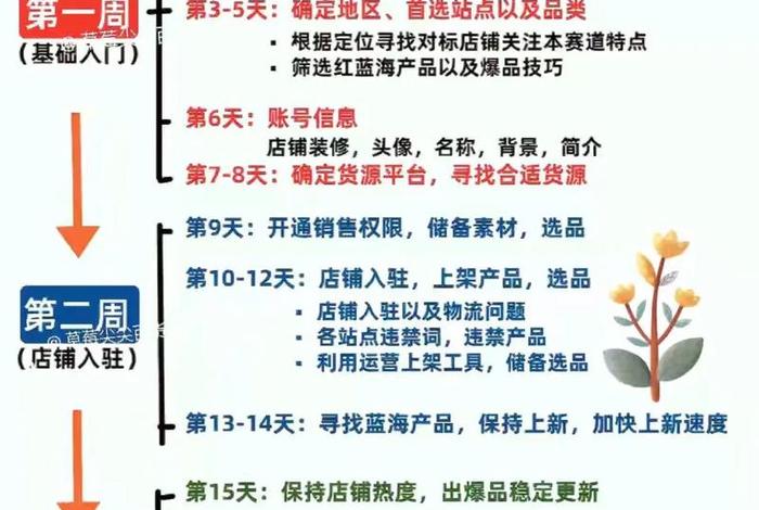 大学生跨境电商的规划(大学生跨境电商的规划怎么写) 大学生跨境电商的规划(大学生跨境电商的规划怎么写)