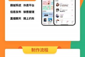 电商软件开发编程 电商软件开发编程怎么样