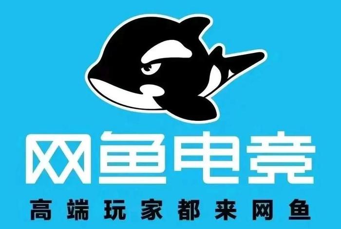 飞鱼电脑版下载官网网址,飞鱼电竞官网app下载 飞鱼电脑版下载官网网址,飞鱼电竞官网app下载