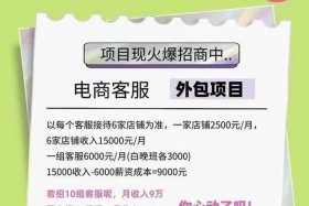 加盟电商运营公司，加盟电商运营公司赚钱吗