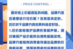 电商控价第三方公司是怎么控价的，电商控价第三方公司是怎么控价的呢