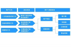 电商平台的运营模式（电商平台的运营模式介绍）