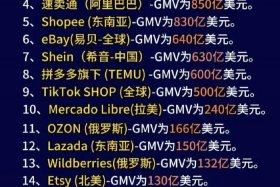 跨境电商股票有哪些龙头股，跨境电商股票有哪些龙头股对美国贸易